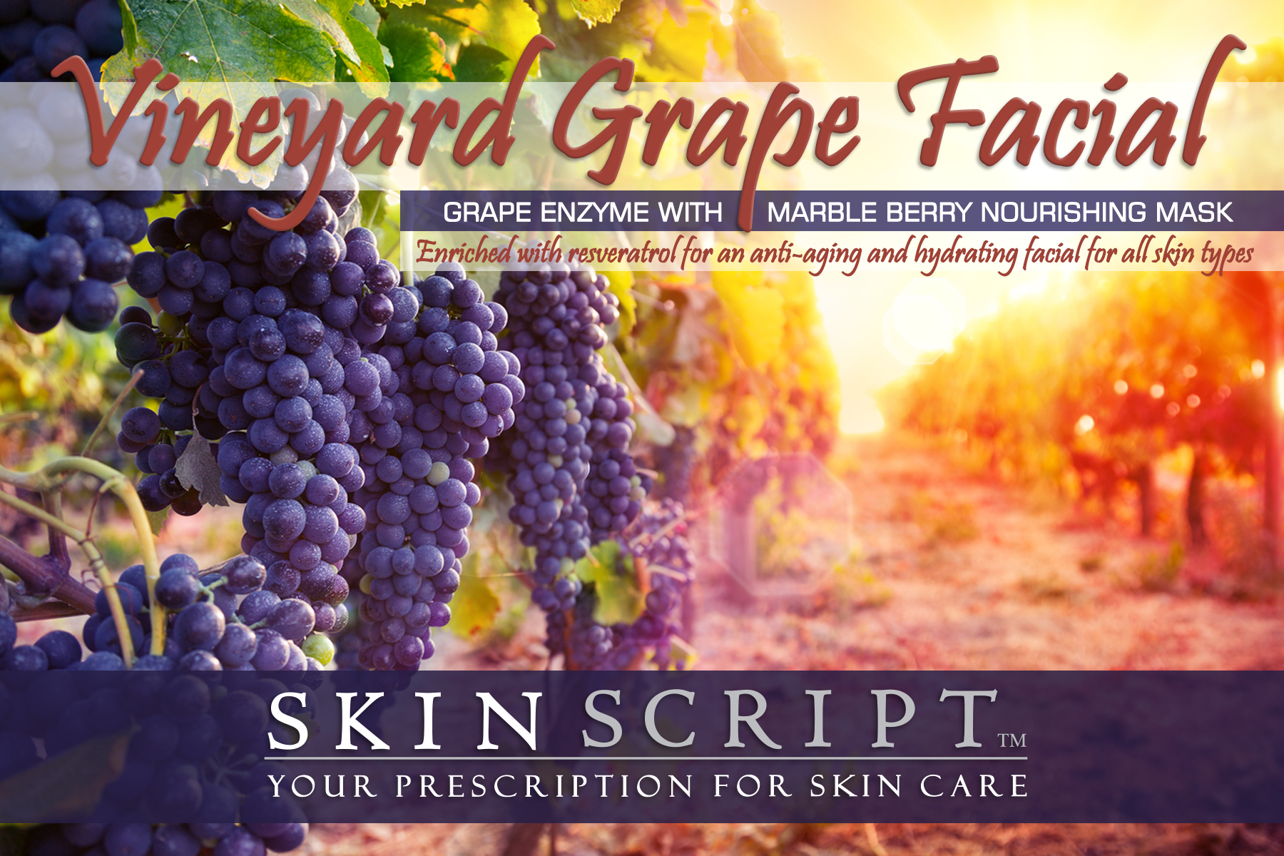 VineyardGrapeFacial_4x6_1_HR